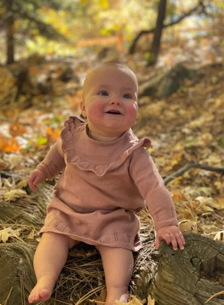Ettie   H Tressa Dress In Rose Knit: Size 0M-18M