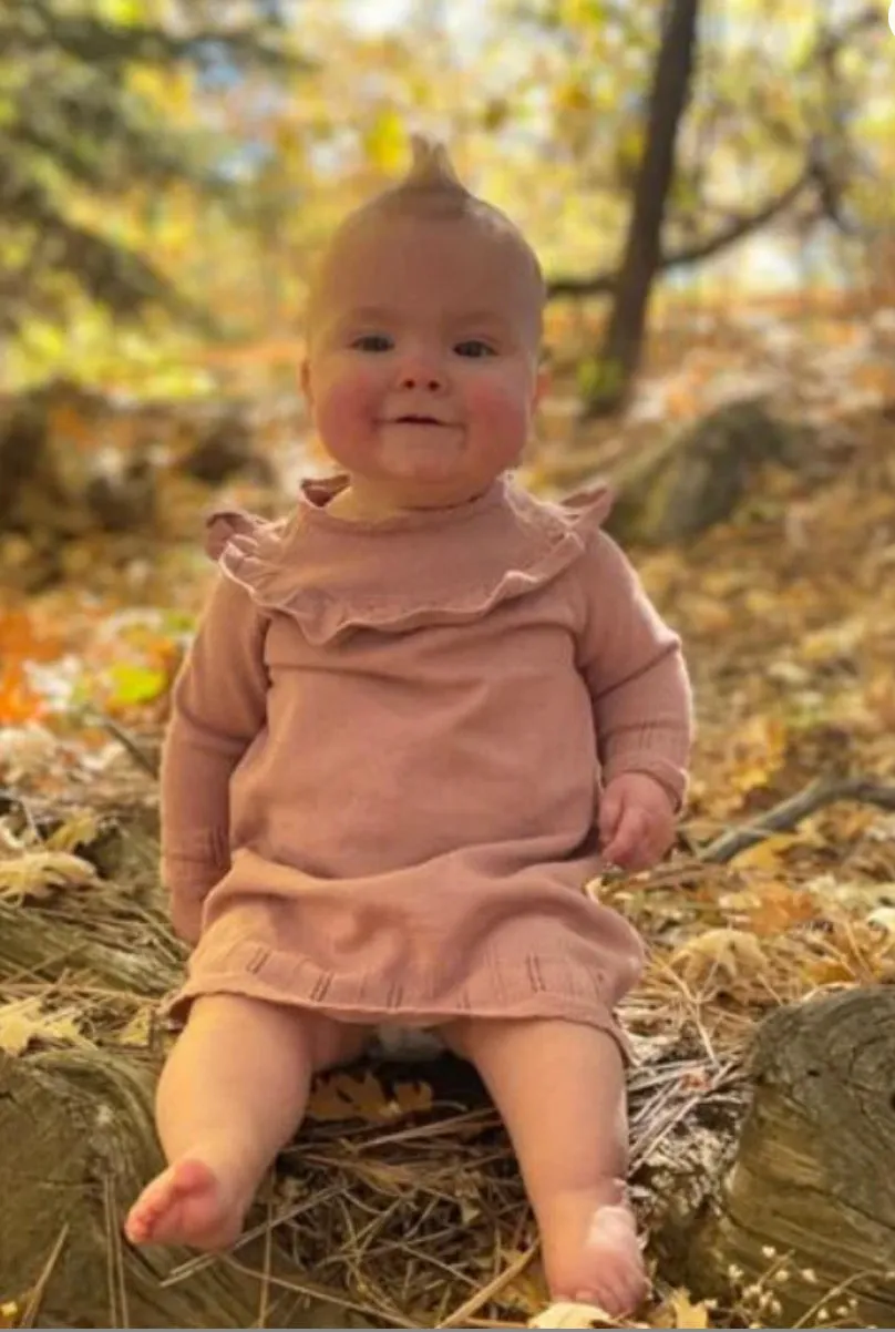 Ettie   H Tressa Dress In Rose Knit: Size 0M-18M