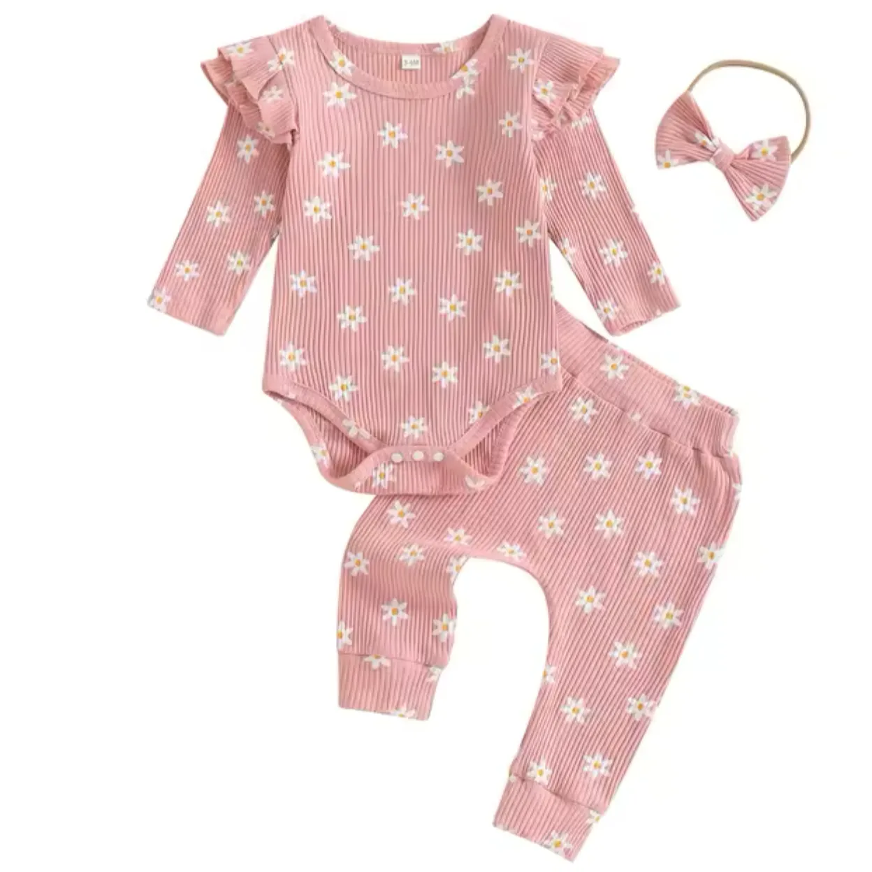 Fall Daisy - Pink