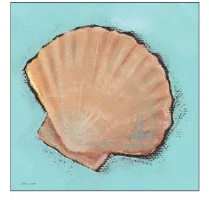 Fanshell