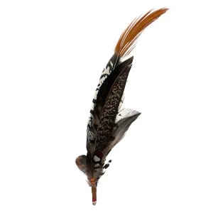 Feather combo 10