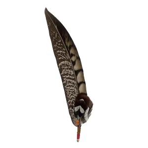 Feather combo 14