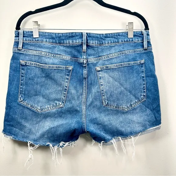 Frame Denim Le Grand Garcon Distressed Short, Shear Wash