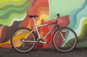 Giant Rincon Rigid Mountain Bike, Medium, Green & Silver, Used