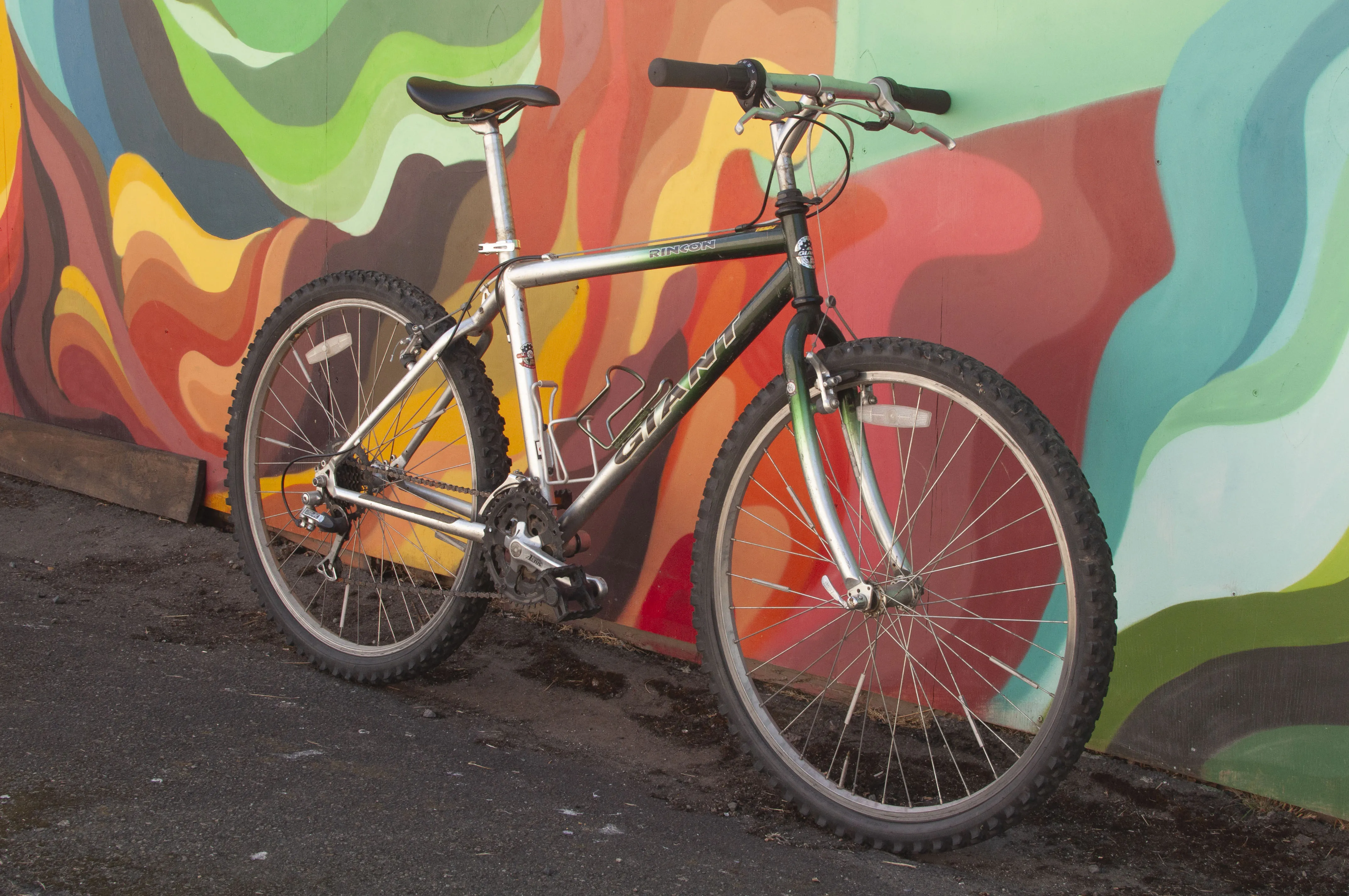 Giant Rincon Rigid Mountain Bike, Medium, Green & Silver, Used