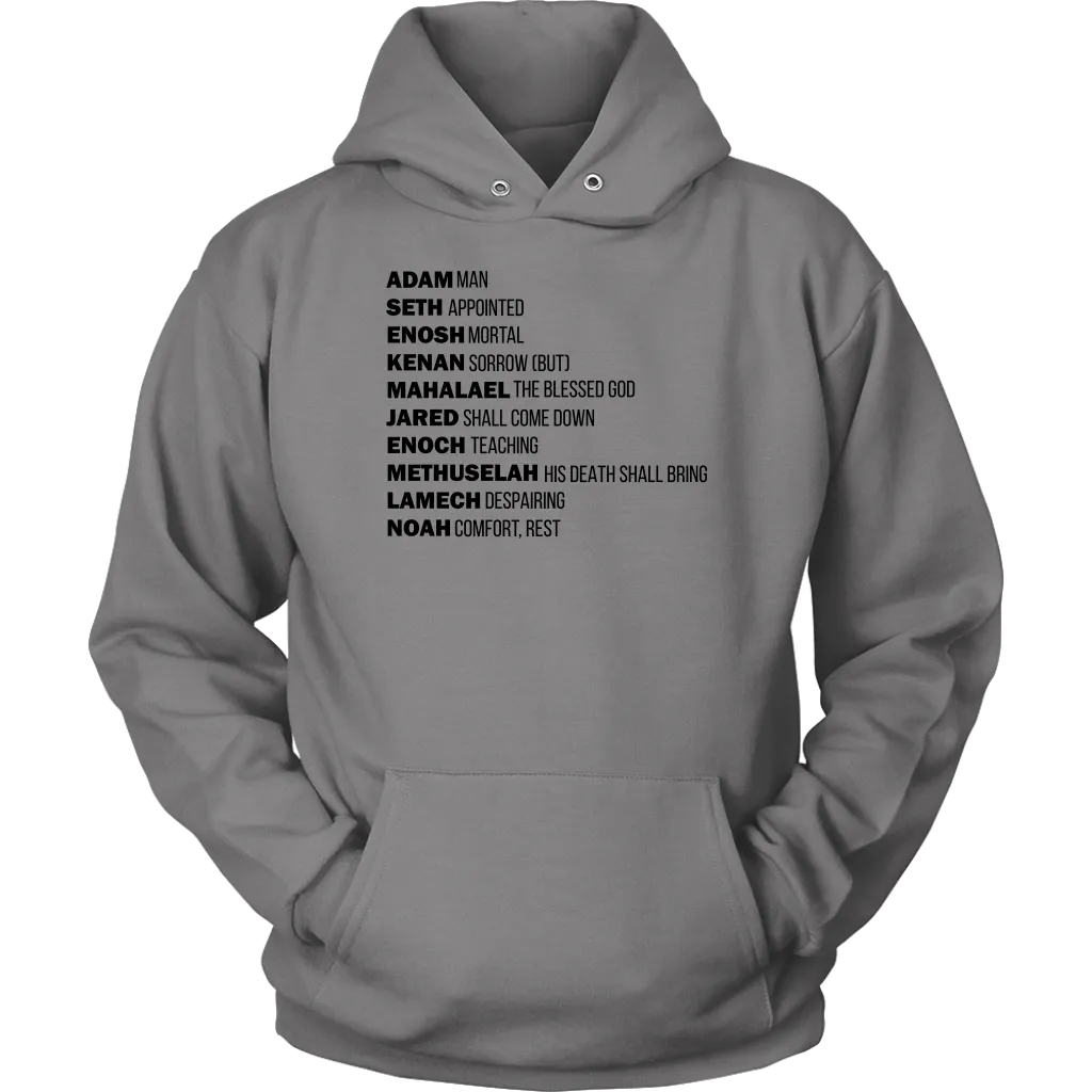 God's Plan From The Beginning Unisex Hoodie Part 1