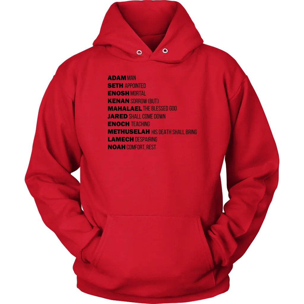 God's Plan From The Beginning Unisex Hoodie Part 1