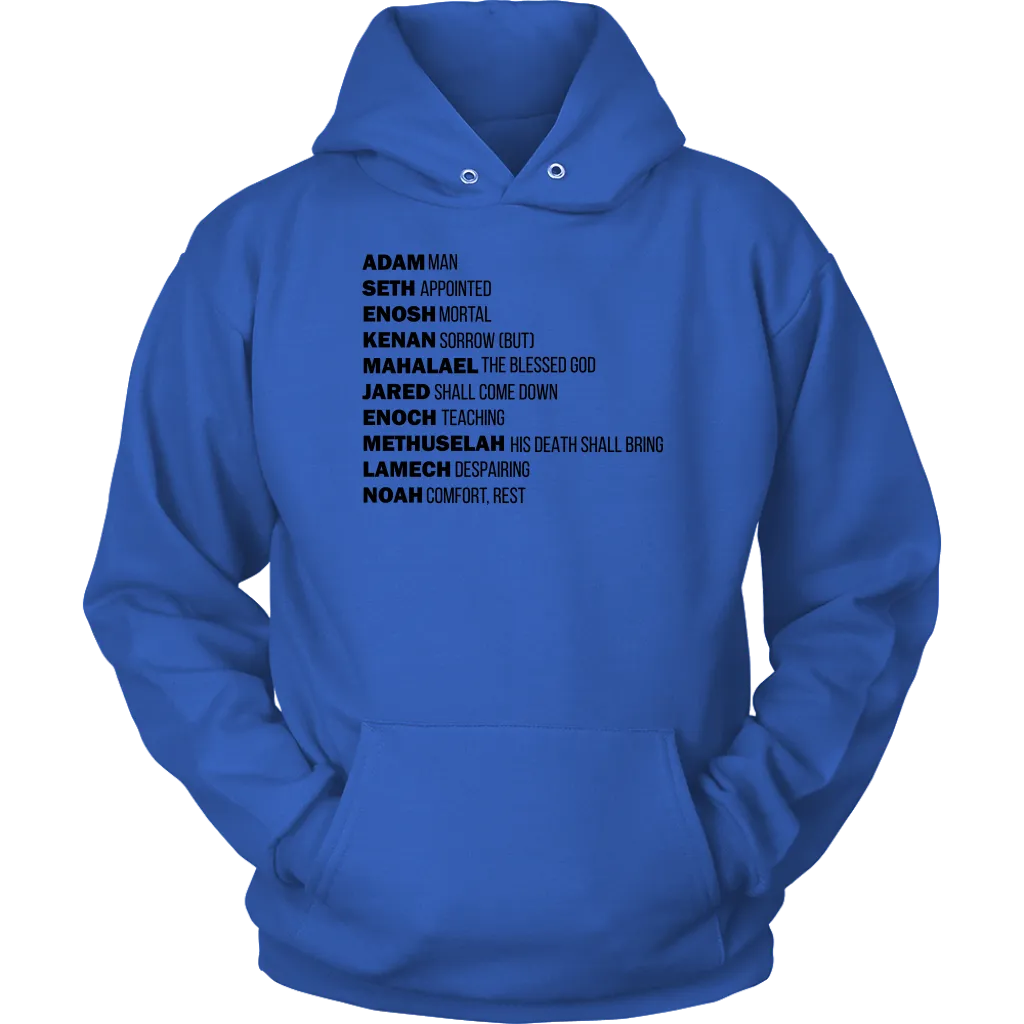 God's Plan From The Beginning Unisex Hoodie Part 1