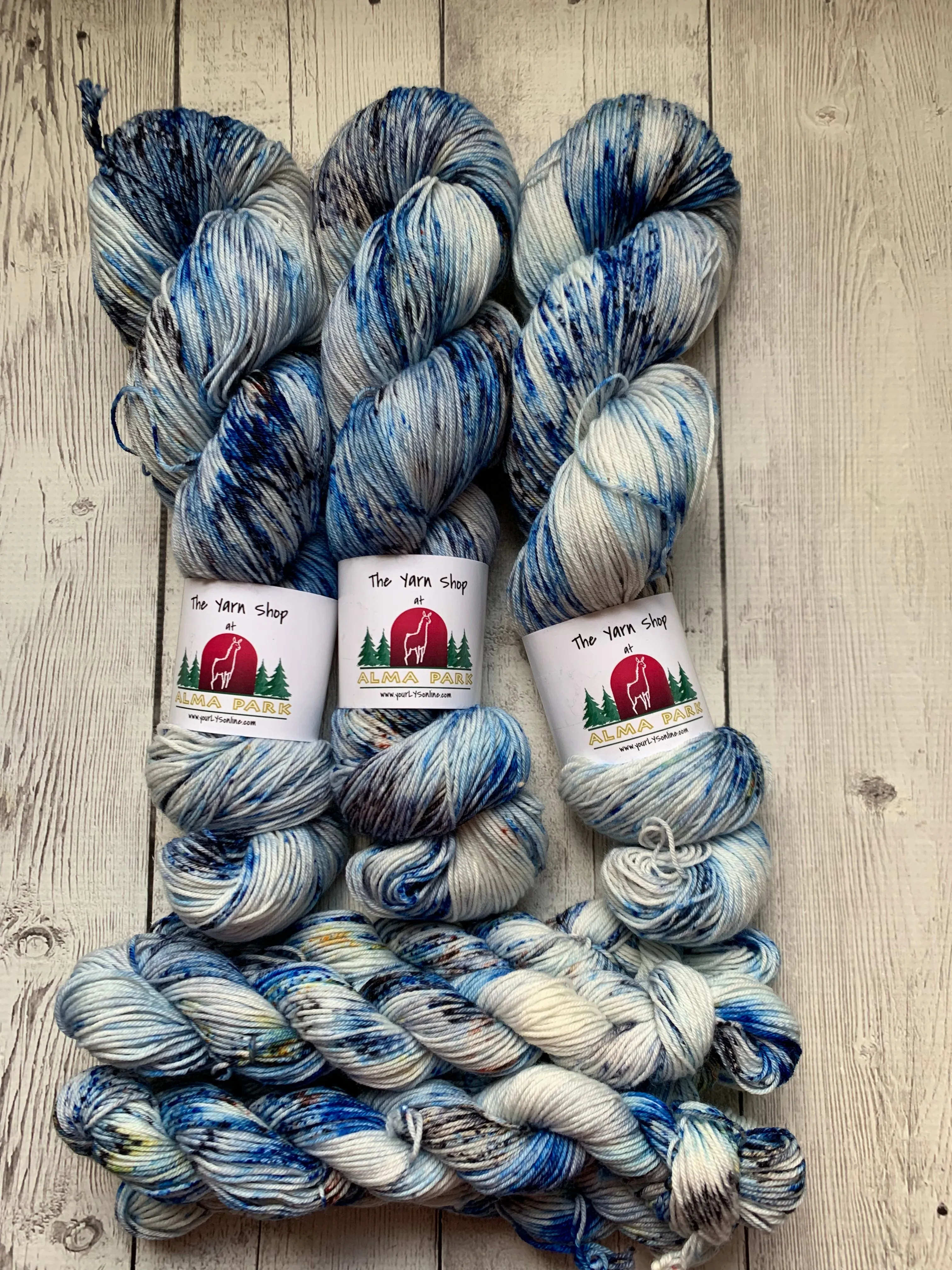 GONE FISHING™ -  Hand Painted/Speckled - Multiple Yarn Weights  -  RTS