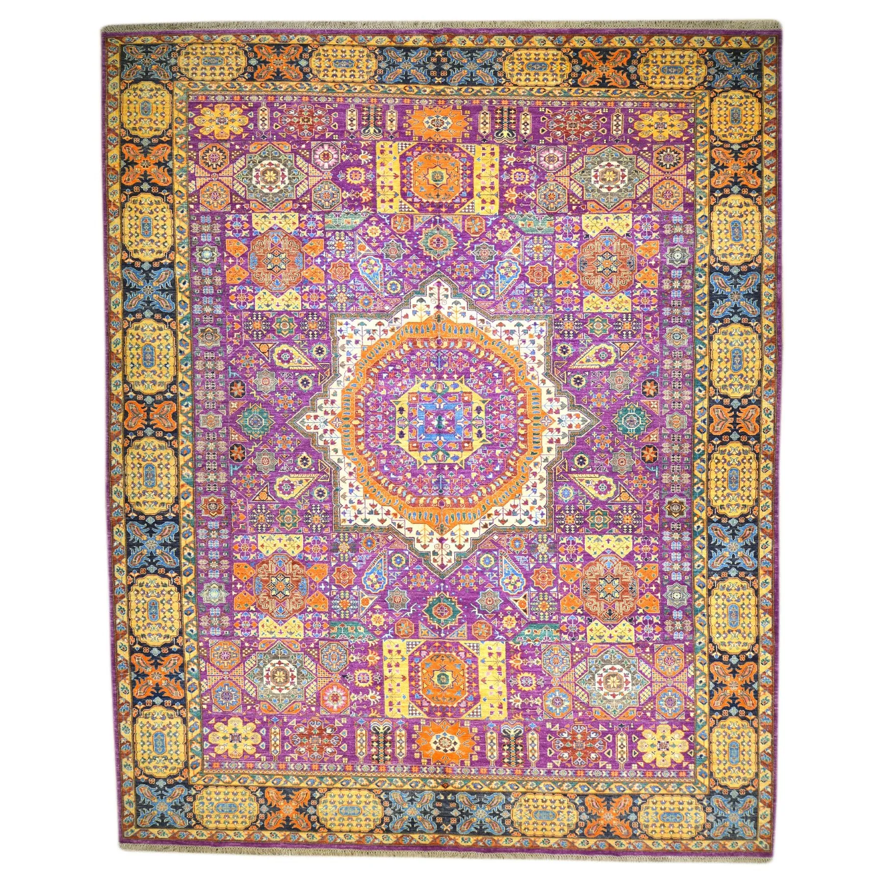Hand-Knotted Oriental Mamluk Design Wool Rug (Size 9.9 X 13.11) Brral-6447