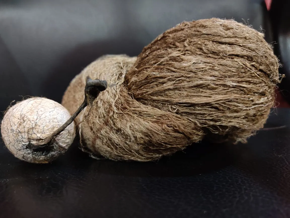 Handspun Tassah Raw Silk