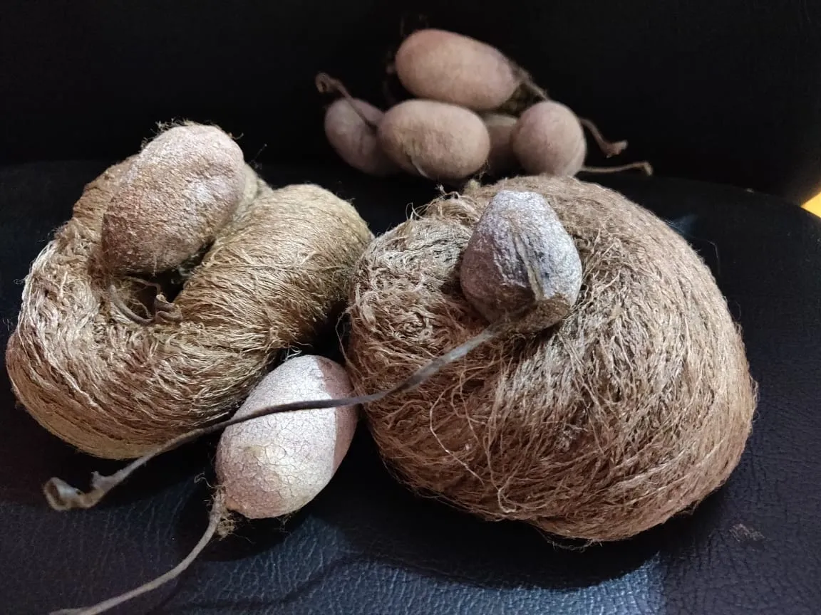 Handspun Tassah Raw Silk