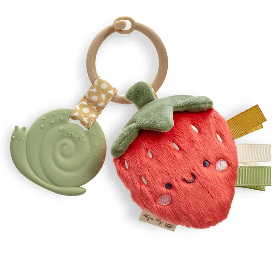 Itzy Ritzy Itzy Pal Plush   Teether Infant Toy