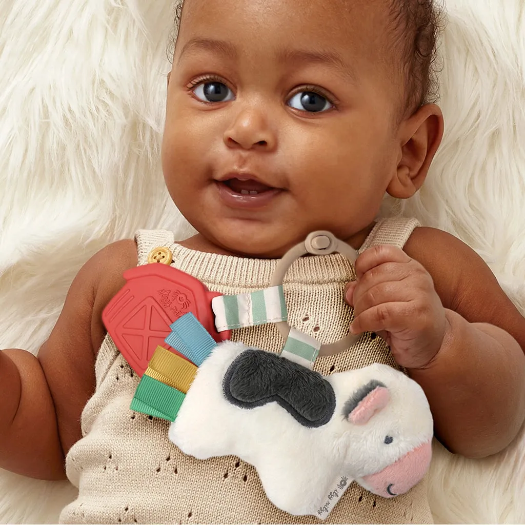 Itzy Ritzy Itzy Pal Plush   Teether Infant Toy