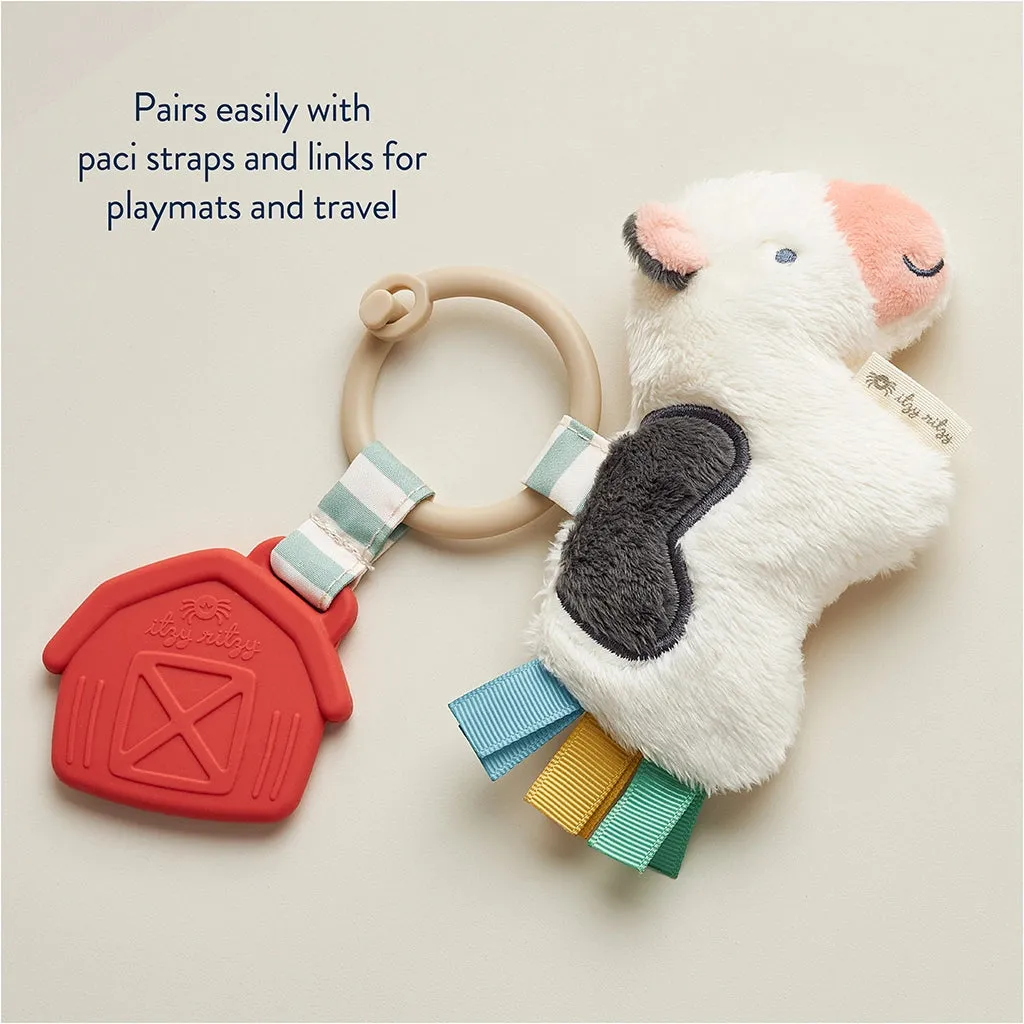 Itzy Ritzy Itzy Pal Plush   Teether Infant Toy