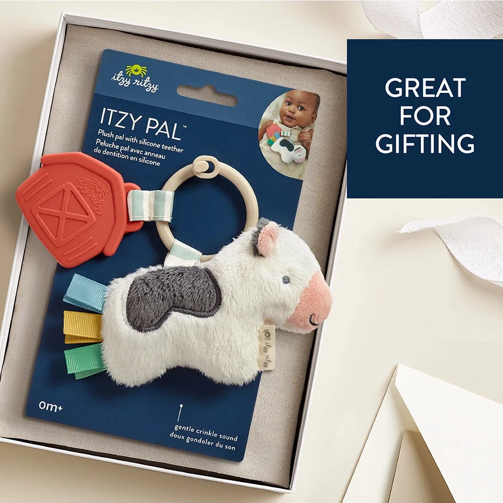 Itzy Ritzy Itzy Pal Plush   Teether Infant Toy