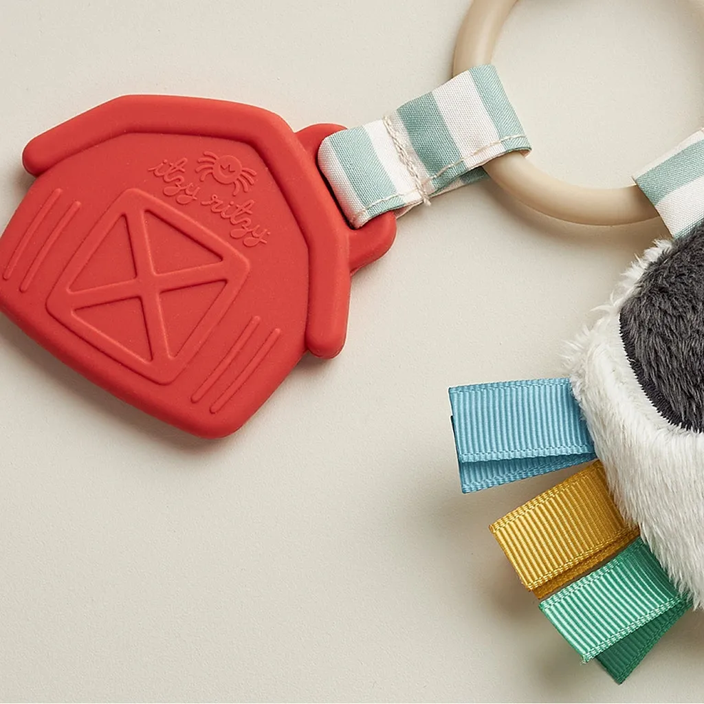 Itzy Ritzy Itzy Pal Plush   Teether Infant Toy