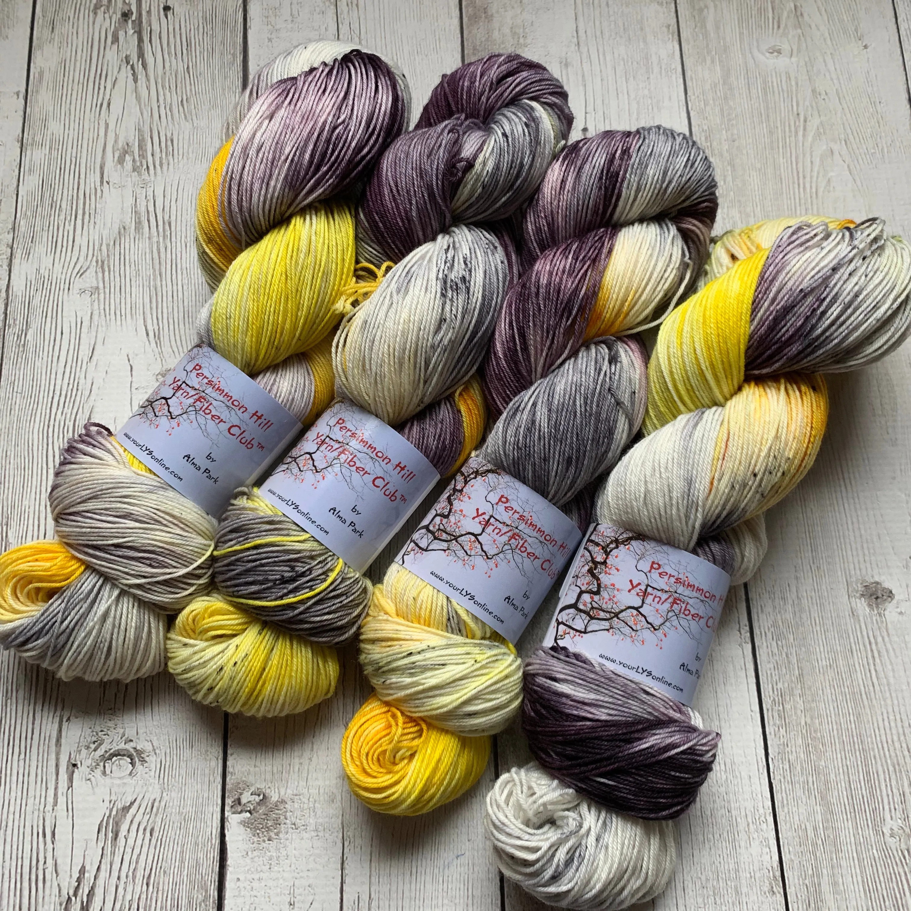 JANUARY 2020 "PROSPERITY" - Persimmon Hill Yarn of the Month by Alma Park