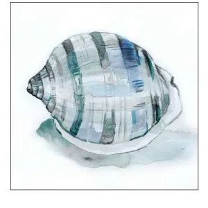 Le Coquillage II