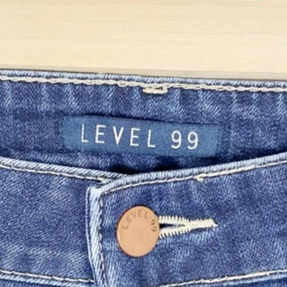 Level 99 | Distressed Amber Slouchy Skinny Jean Size 28