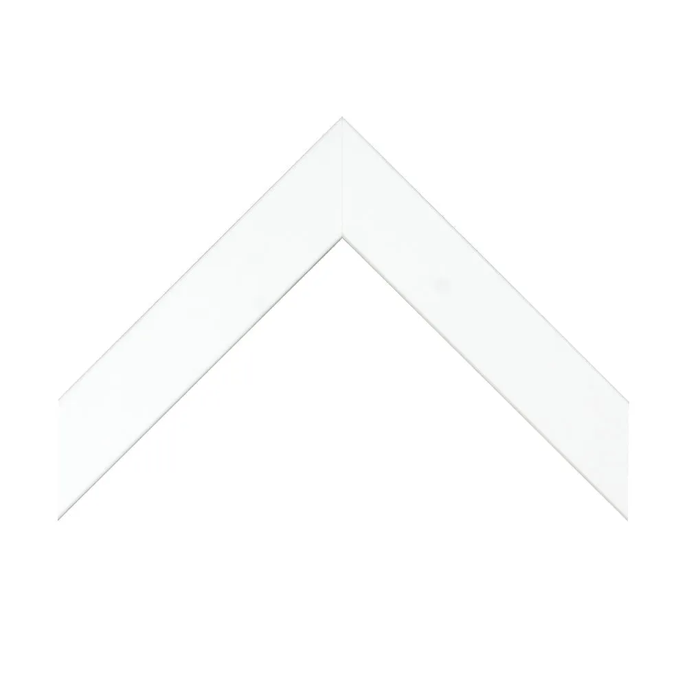 Leveller II