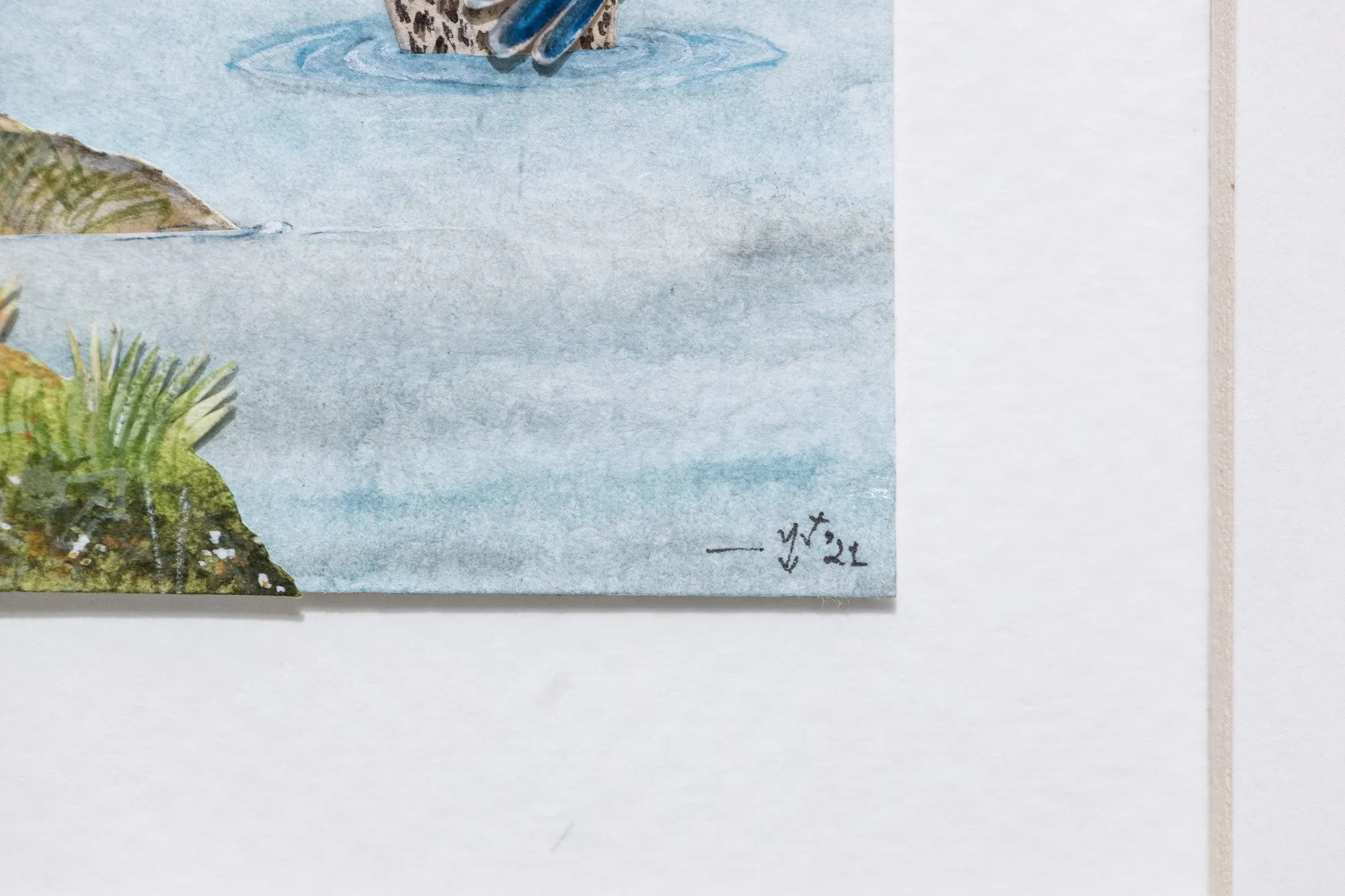 Mallard duck couple diorama