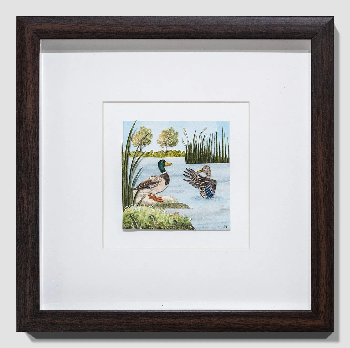 Mallard duck couple diorama