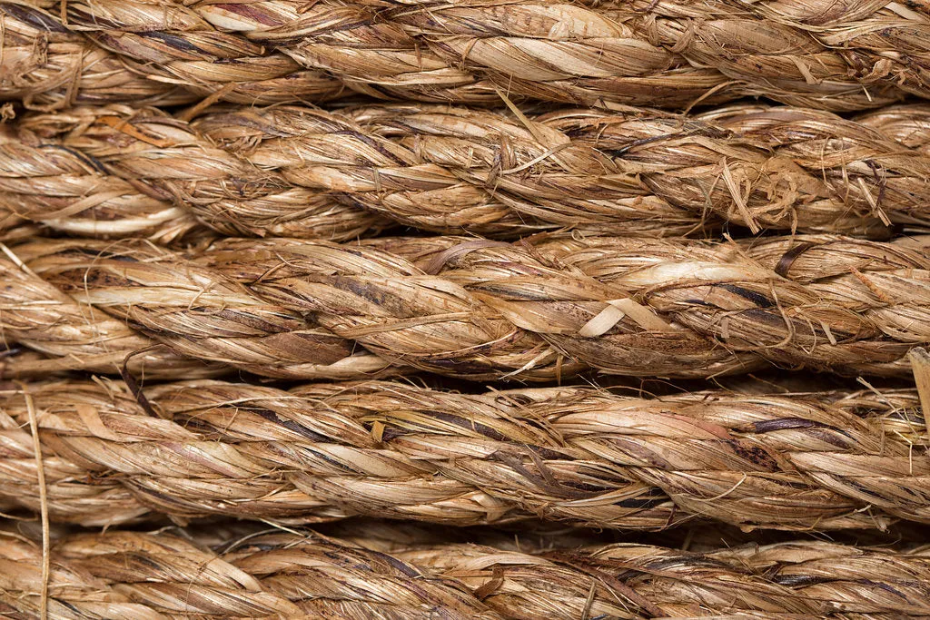 Manila 3-Strand Twisted Rope ( per foot )