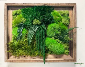 Moss Wall Art | Wall Decor | Preserved Moss Wall Art