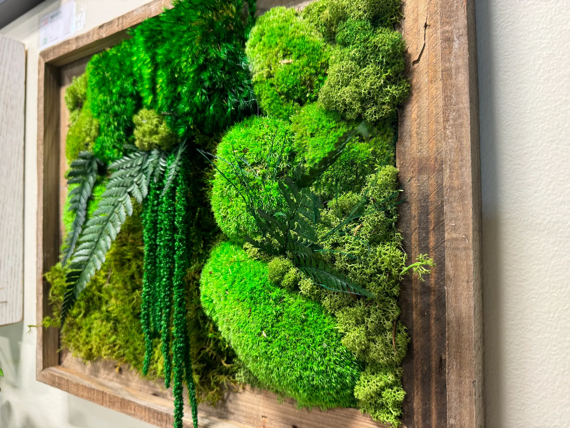 Moss Wall Art | Wall Decor | Preserved Moss Wall Art