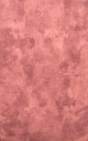 Mulberry Lane Coral