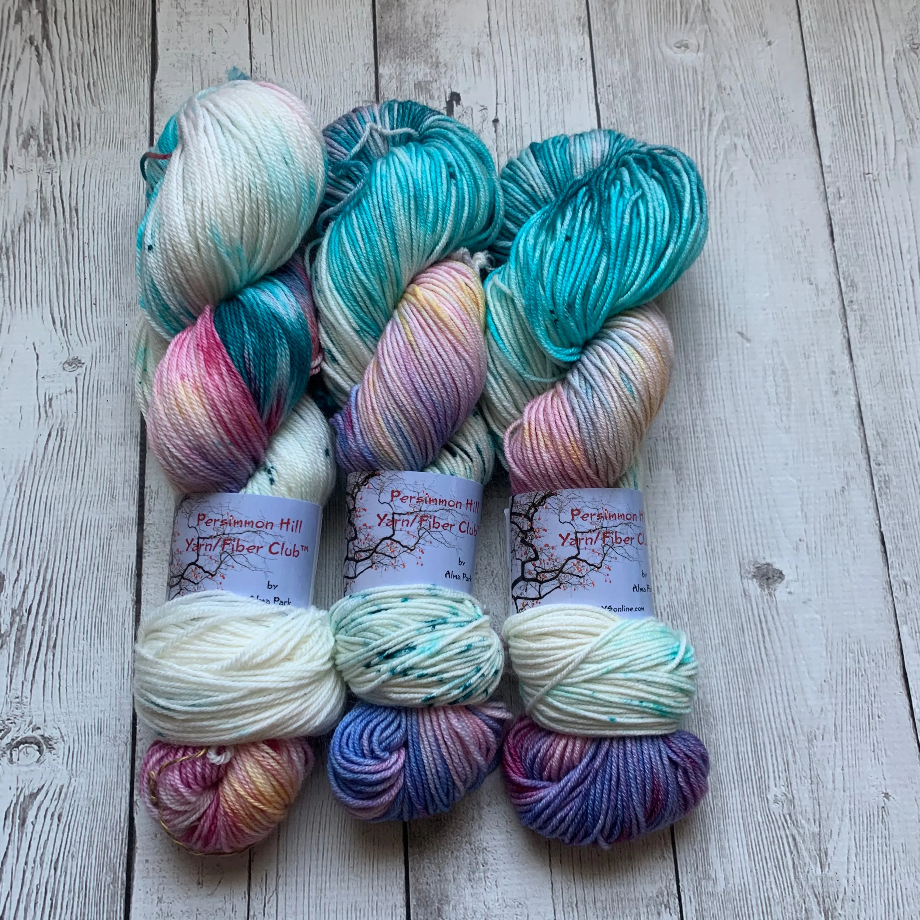 Multiple Yarn Weights - Winter Wonderland™ Hand Paint - RTS