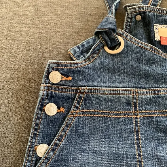 NWT Anthropologie Plicro Slouchy Overall Shorts