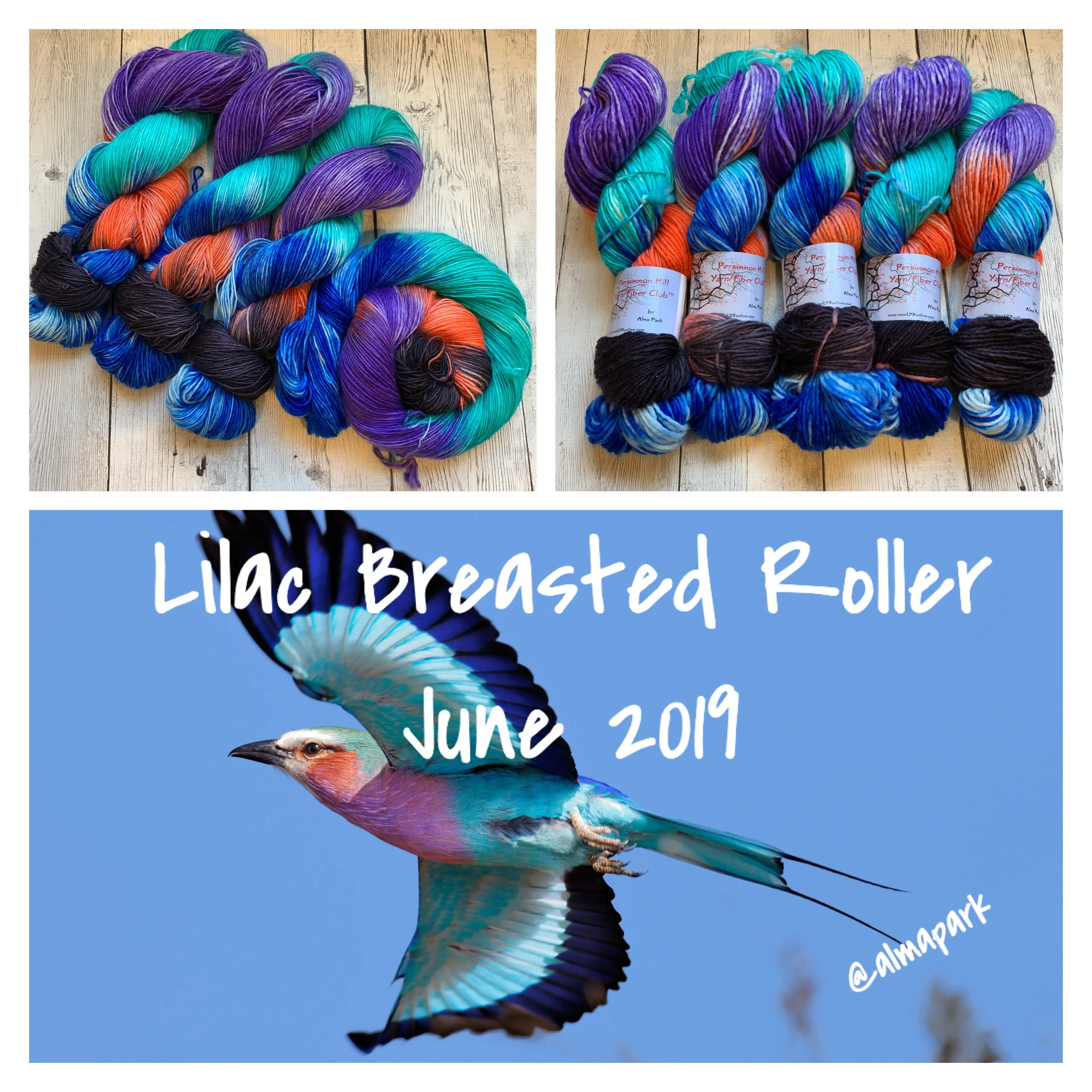 Persimmon Hill Yarn Club by Alma Park