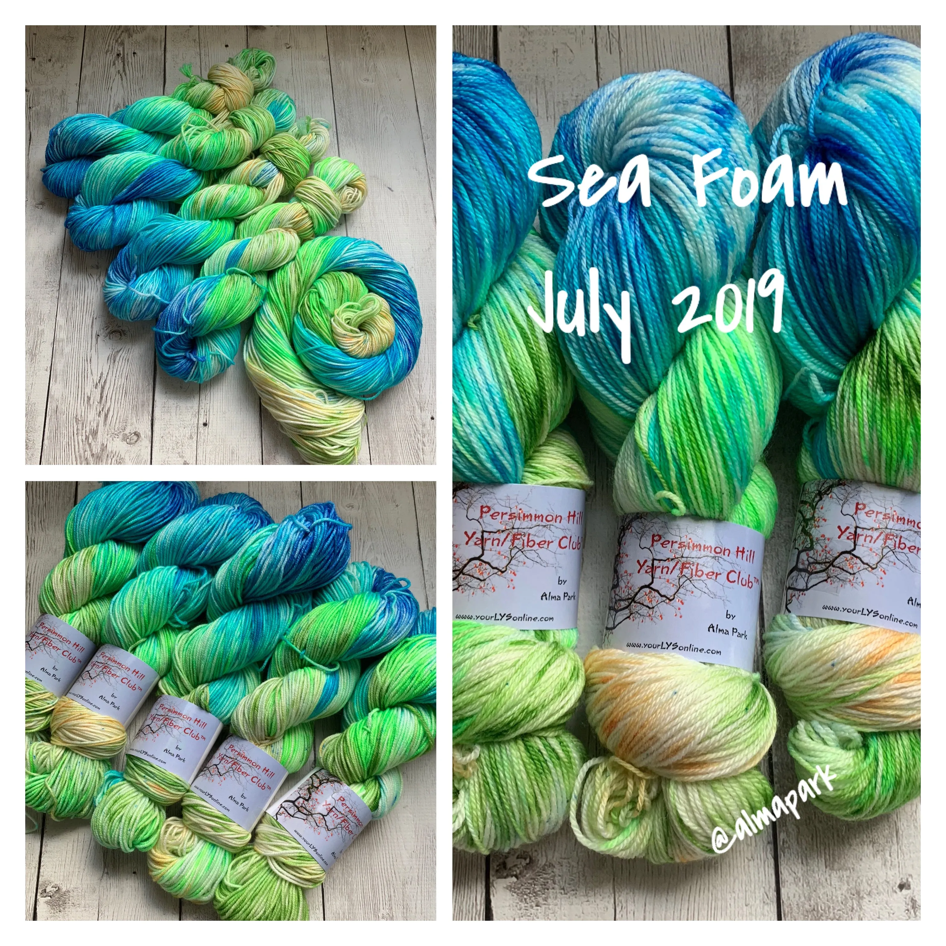 Persimmon Hill Yarn Club by Alma Park
