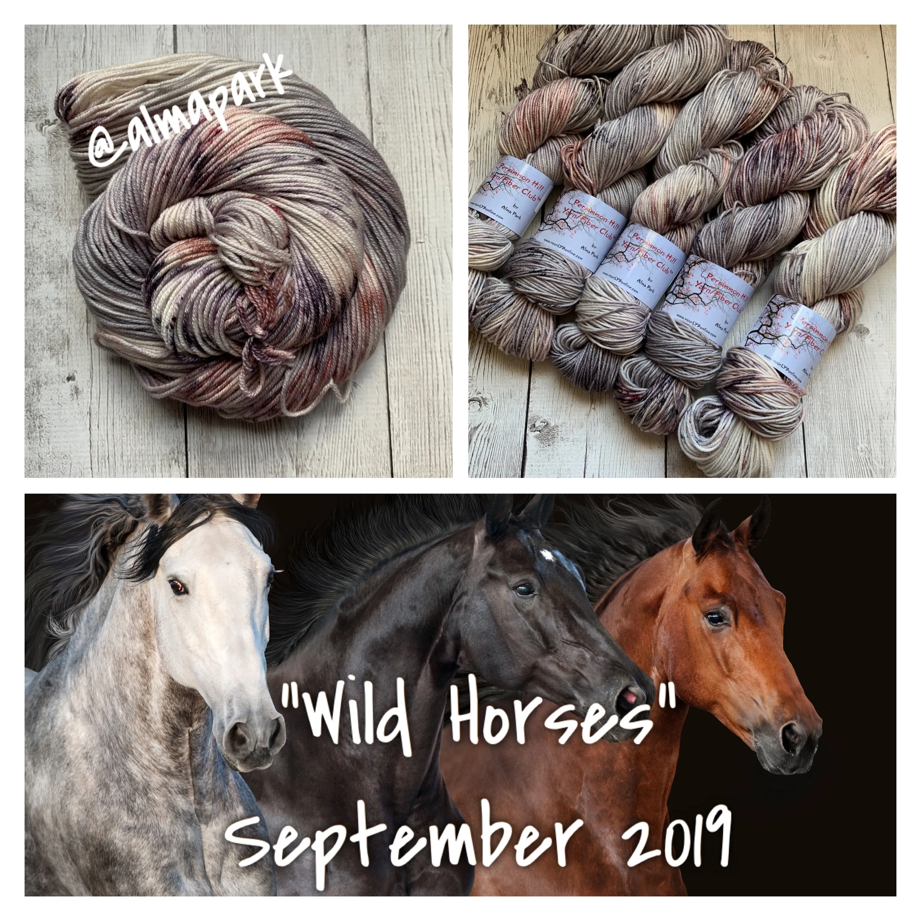 Persimmon Hill Yarn Club by Alma Park