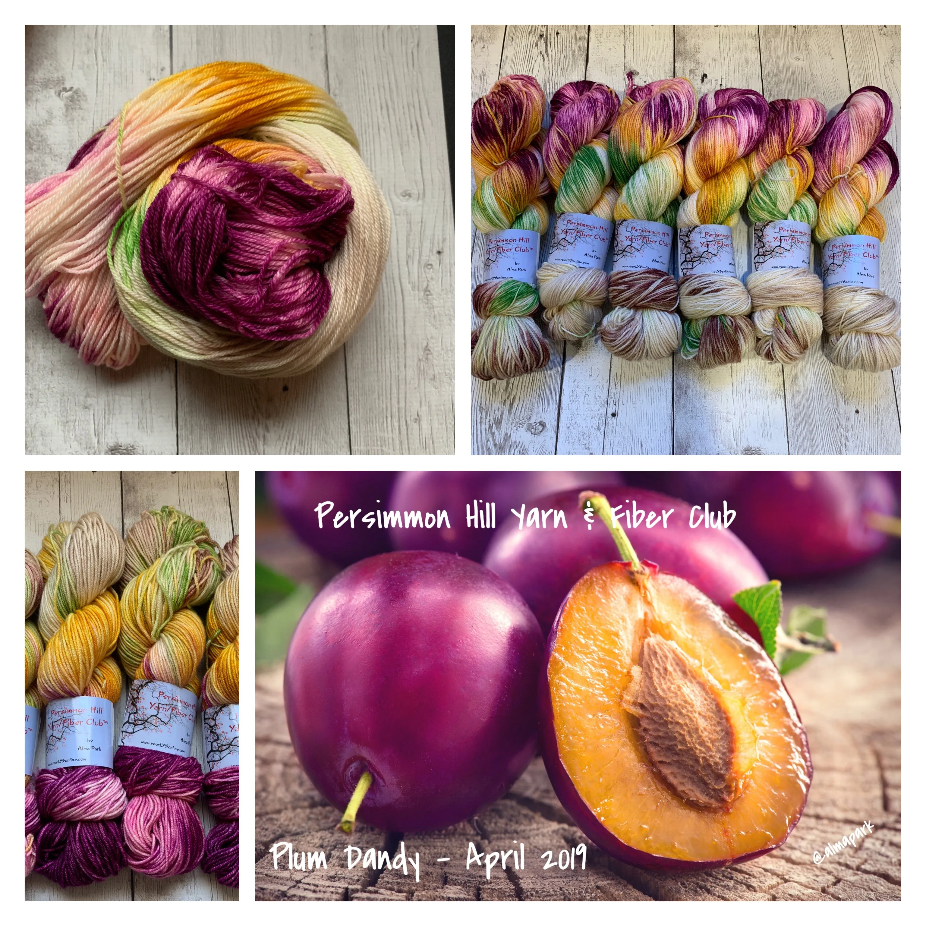 Persimmon Hill Yarn Club by Alma Park