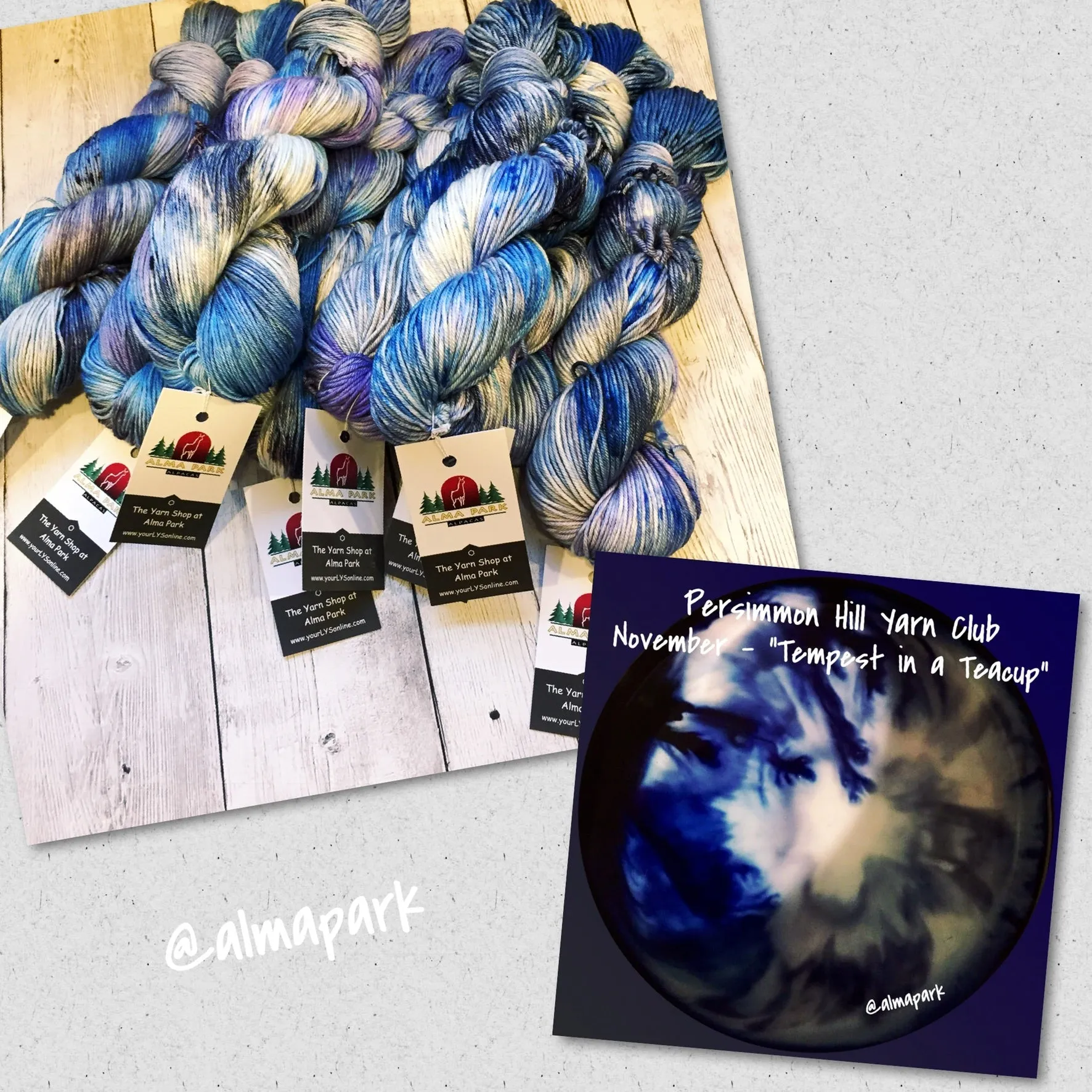 Persimmon Hill Yarn Club by Alma Park