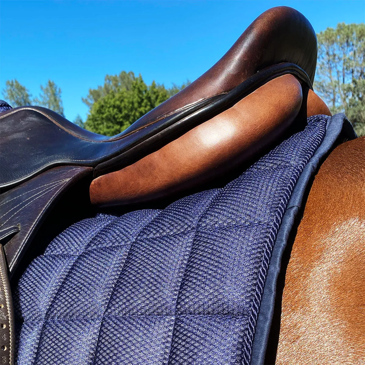 Pro Line 3D Air Mesh Jump AP Saddle Pad Navy Blue