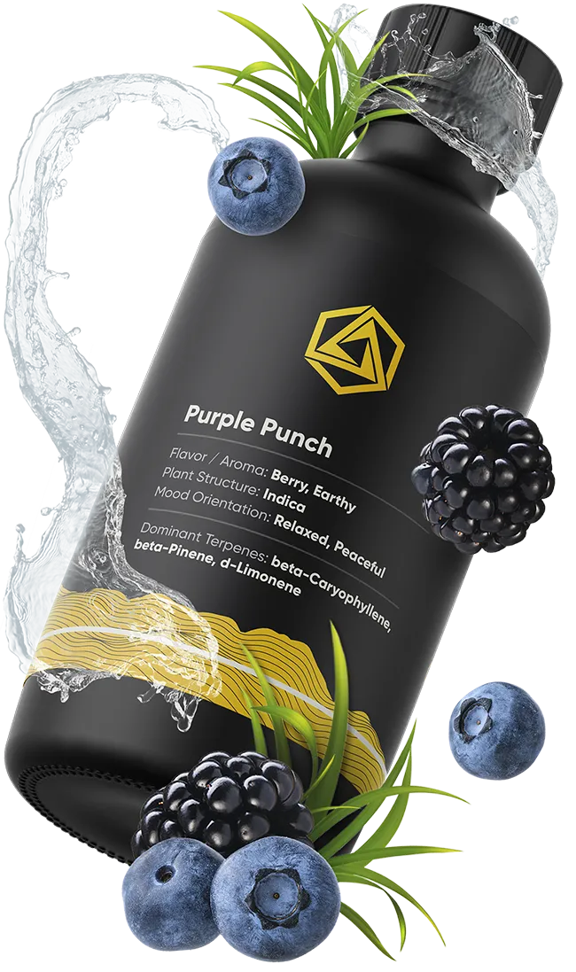 Purple Punch