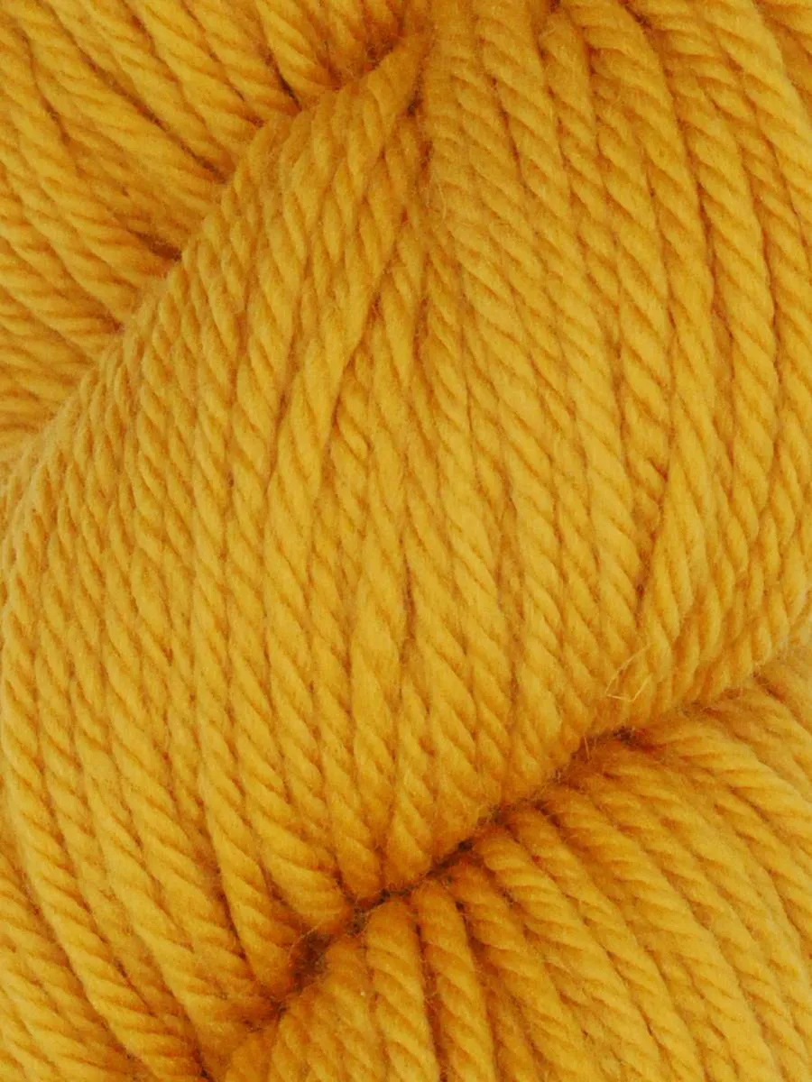 QUEENSLAND FALKLAND CHUNKY