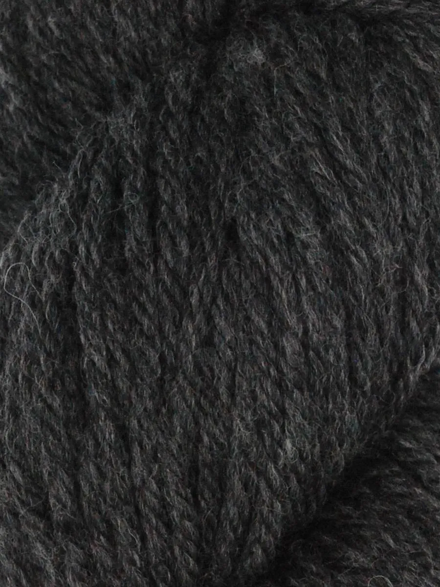 QUEENSLAND FALKLAND CHUNKY
