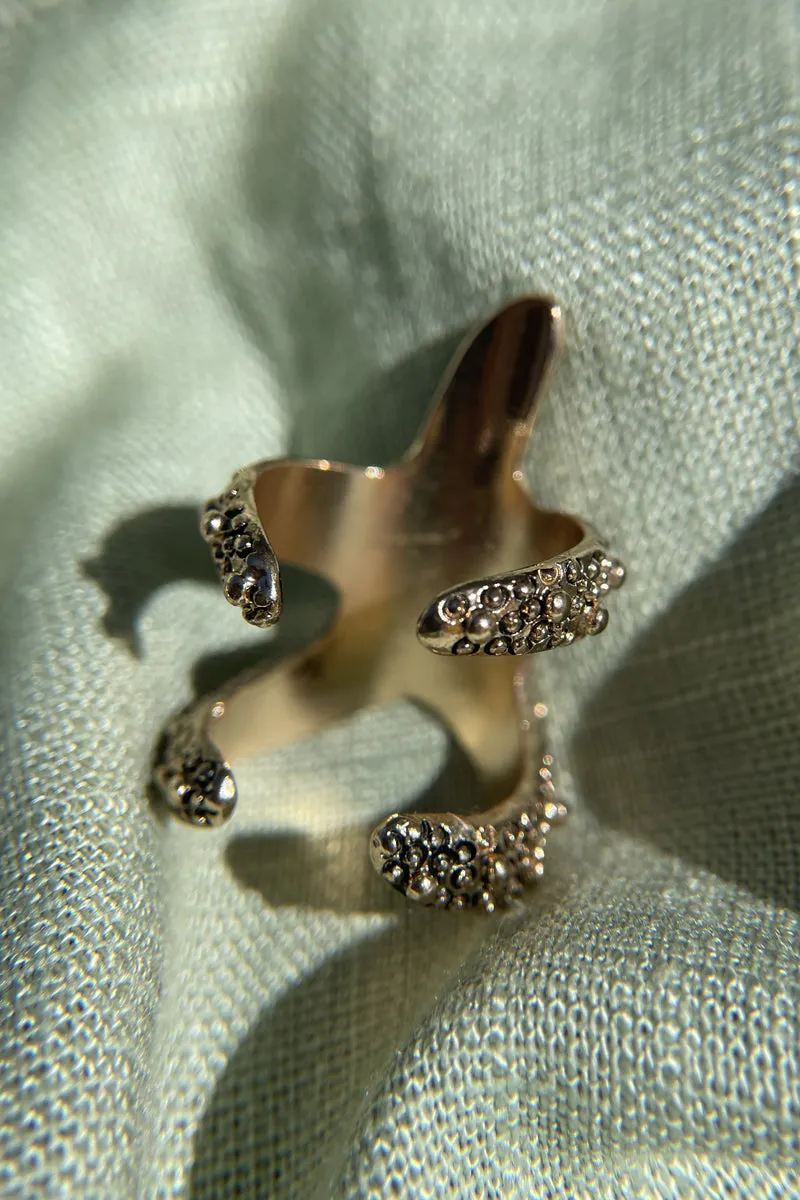 Sebastian Ring