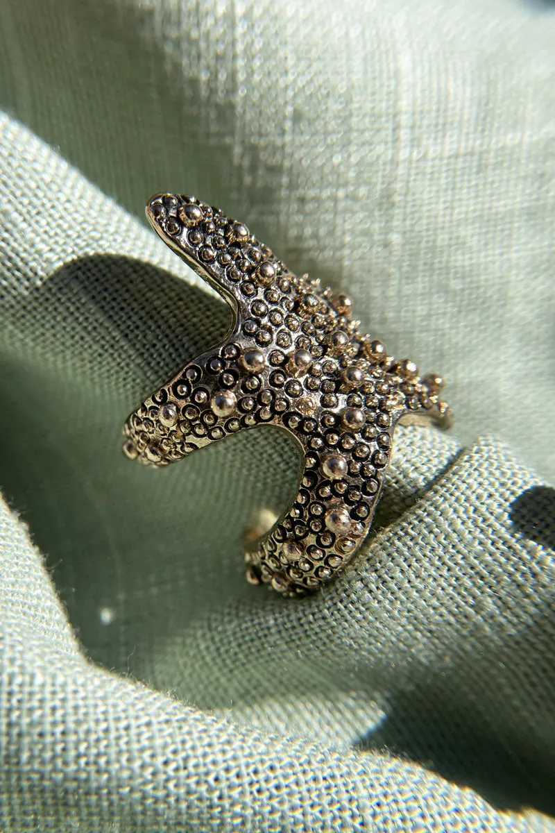 Sebastian Ring