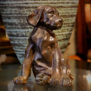 Slouchy Puppy