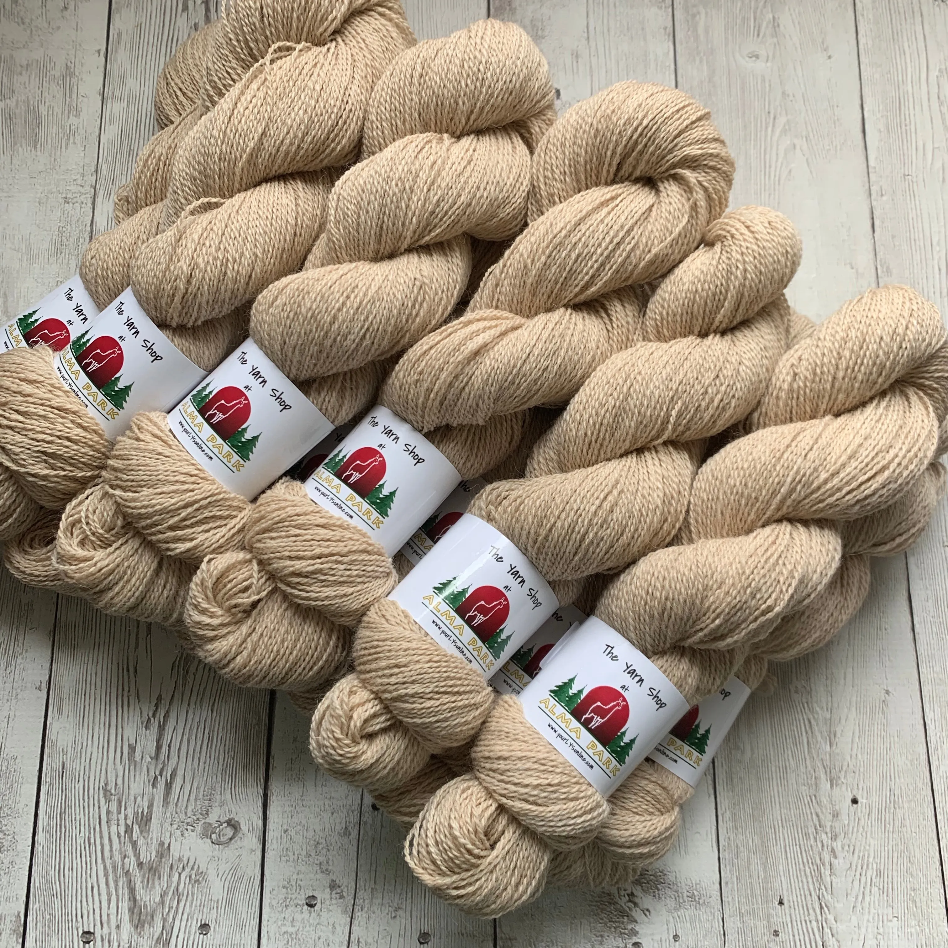 SOCK WEIGHT- Alma Park Exclusive  - Alpaca/BFL/Nylon 400 yds - Light Fawn - "Stella and Sandman"