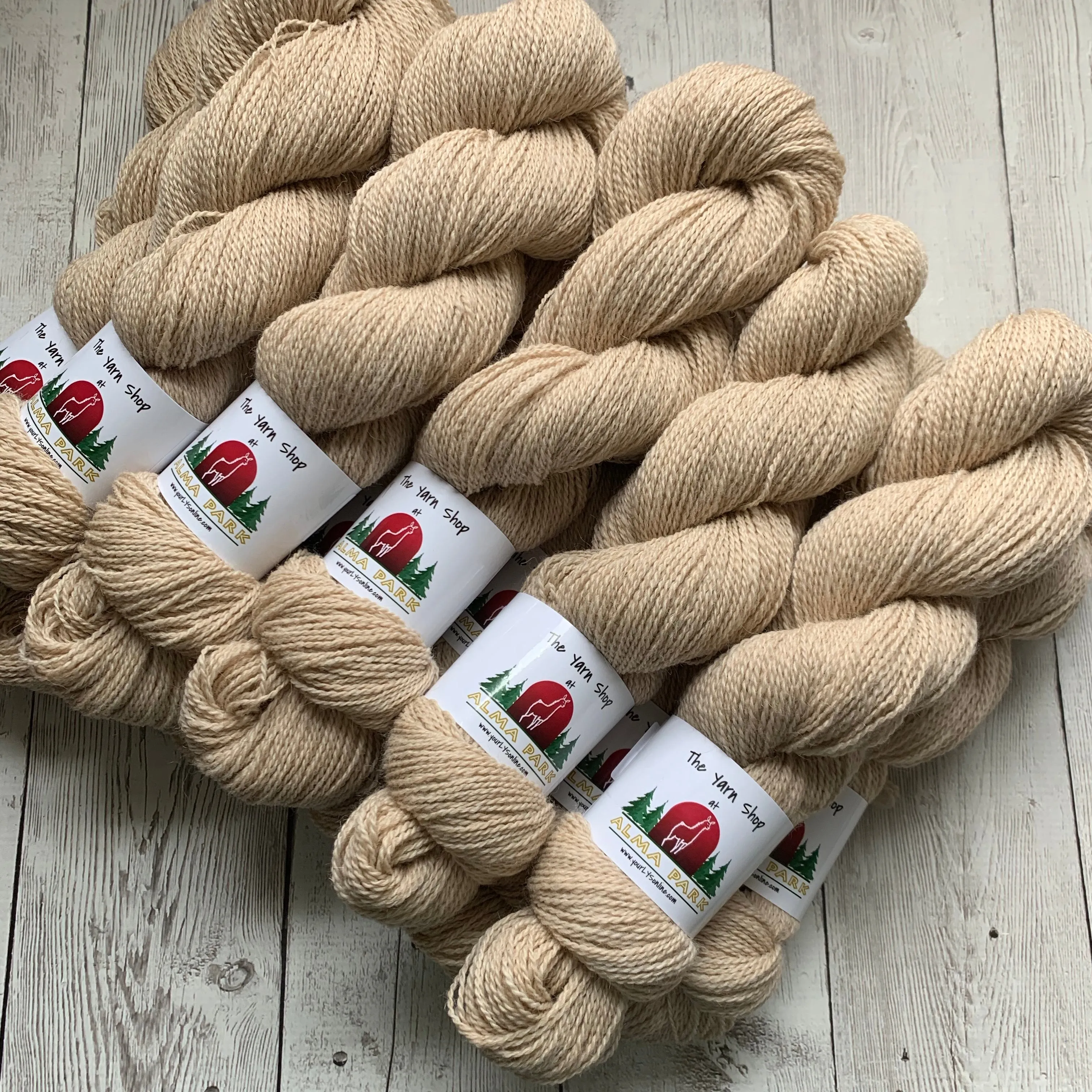 SOCK WEIGHT- Alma Park Exclusive  - Alpaca/BFL/Nylon 400 yds - Light Fawn - "Stella and Sandman"