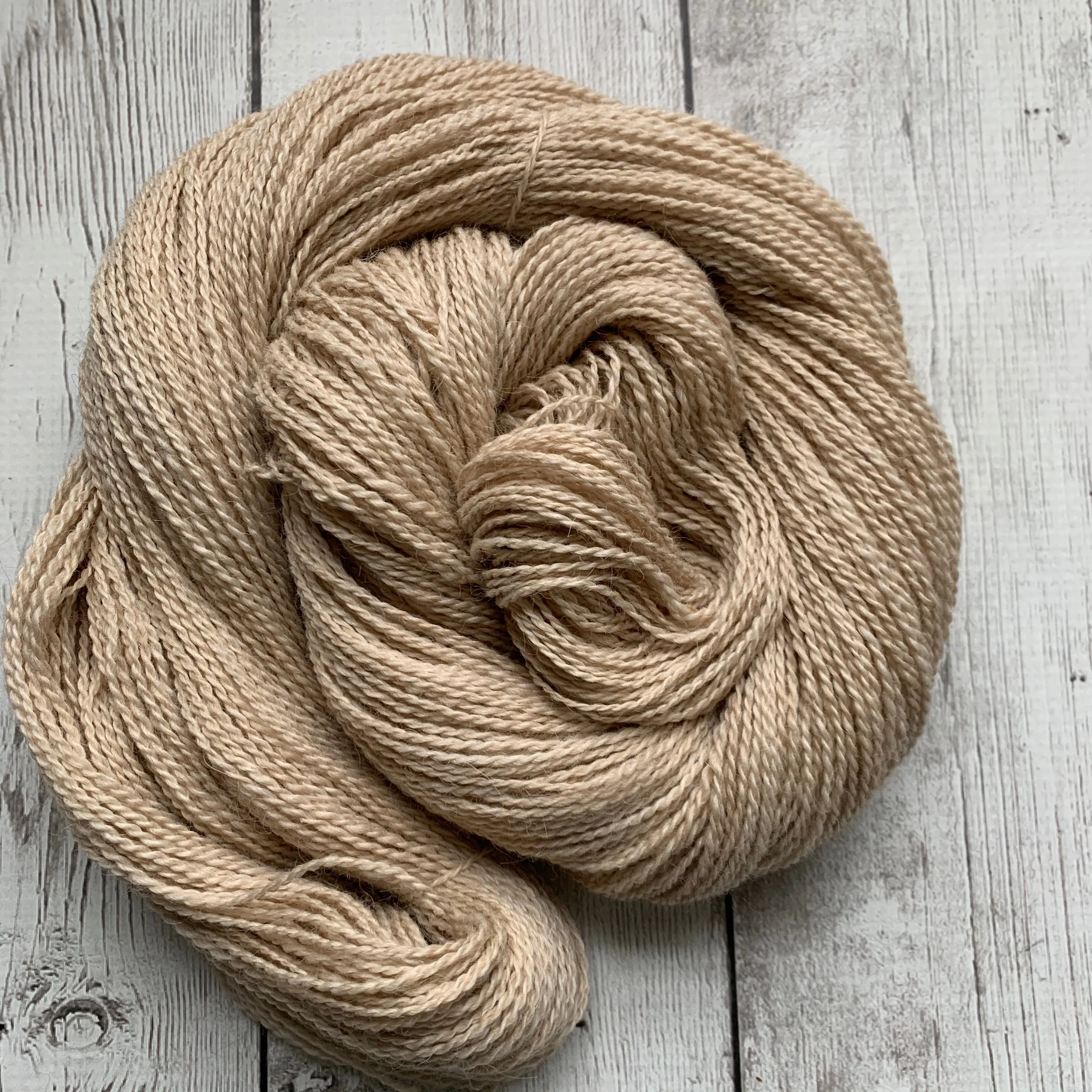 SOCK WEIGHT- Alma Park Exclusive  - Alpaca/BFL/Nylon 400 yds - Light Fawn - "Stella and Sandman"