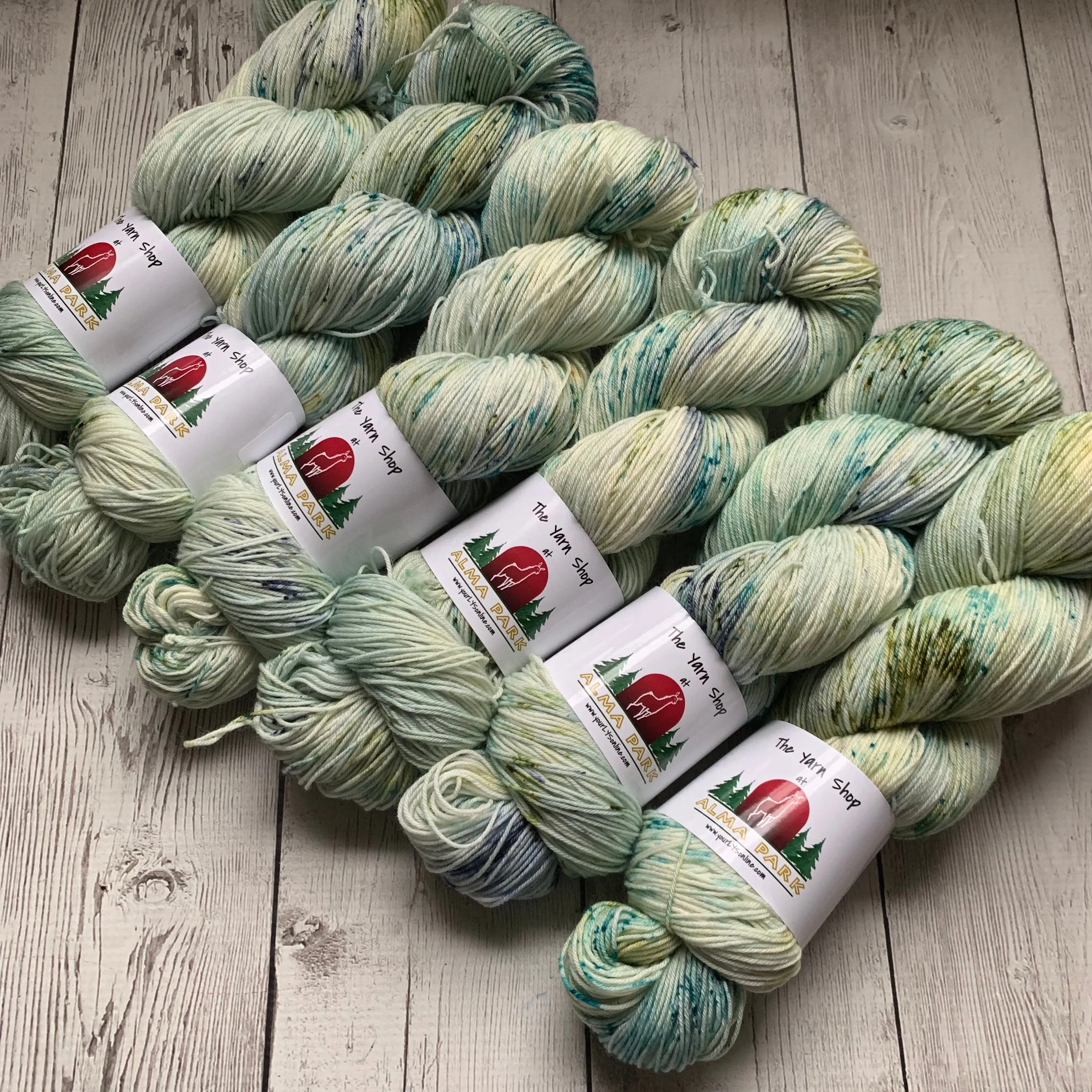 SOCK WEIGHT - English Garden™ Speckled Kettle Dyed - 463 yds RTS (020420)
