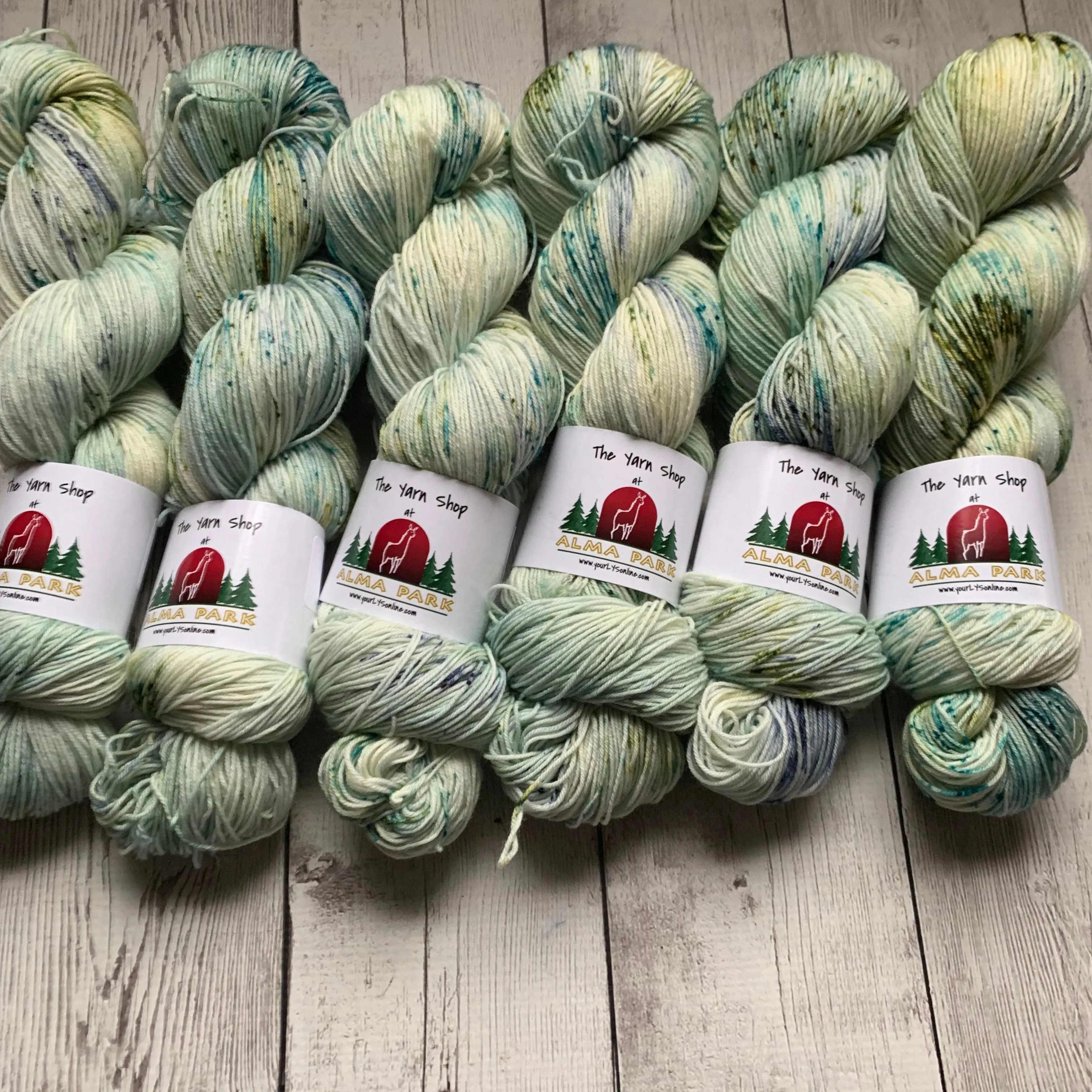 SOCK WEIGHT - English Garden™ Speckled Kettle Dyed - 463 yds RTS (020420)